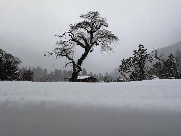 掘地挖宝