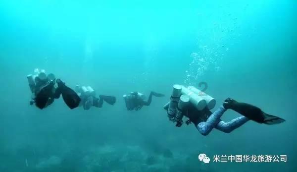 萌宠大连接