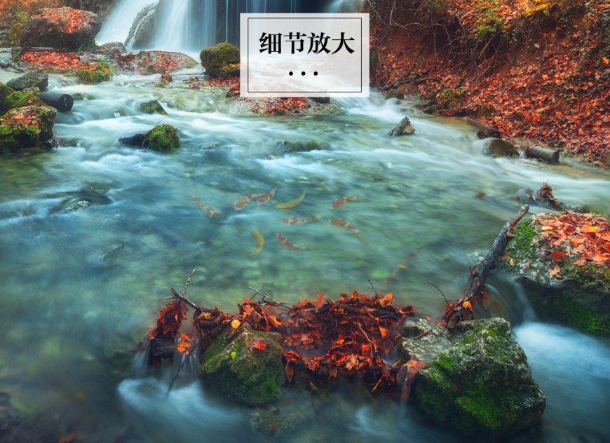 远征军：维京