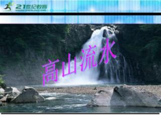 救援小肥兔