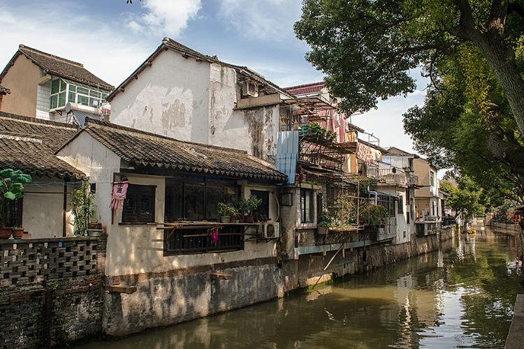 在比亚迪跨界营销的背景下,我感受到了温暖来袭,原因何在?