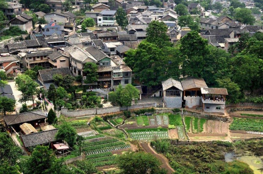 黎明守卫者